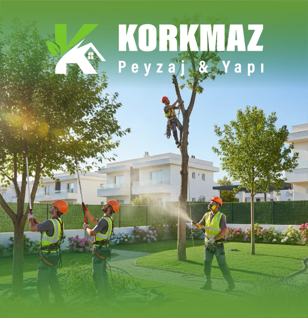 Ağaç Bakımı görseli